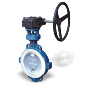 Fluorine lining butterfly valve D371F46