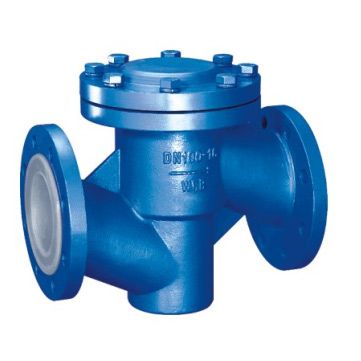 Fluorine-lining check valve